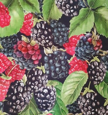 Blackberry Pattern Curtain Fabrics