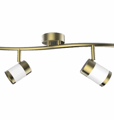 Spotlight with 2 Bulbs