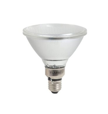 XLED90 PAR38 Waterproof LED Lamp