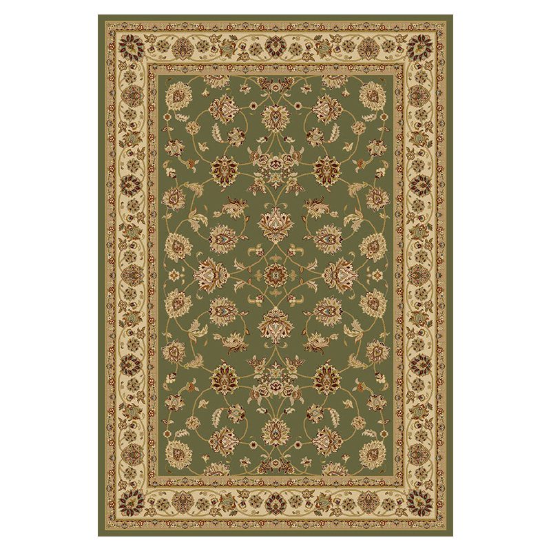 Stefano Traditional Amina 173-O27-G Rug