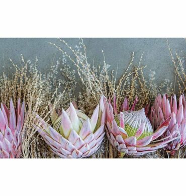 Waltex Floral Deep Pink King Protea Bathmat