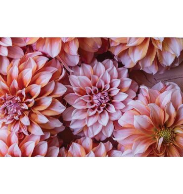 Floral Pink and Orange Dahlia Flowers Bathmat 50x80cm