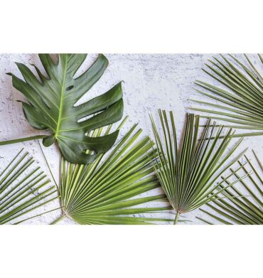 Waltex Leaves Green Palm Leaves on White Bathmat