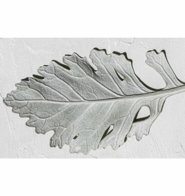 Waltex Leaves Grey Monochrome Leaf Bathmat