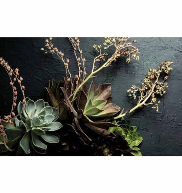 Waltex Natural Green Aloe Bush with Leaves Bathmat