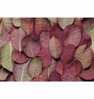 Waltex Leaf Arrangement Dark Mauve and Green Bathmat