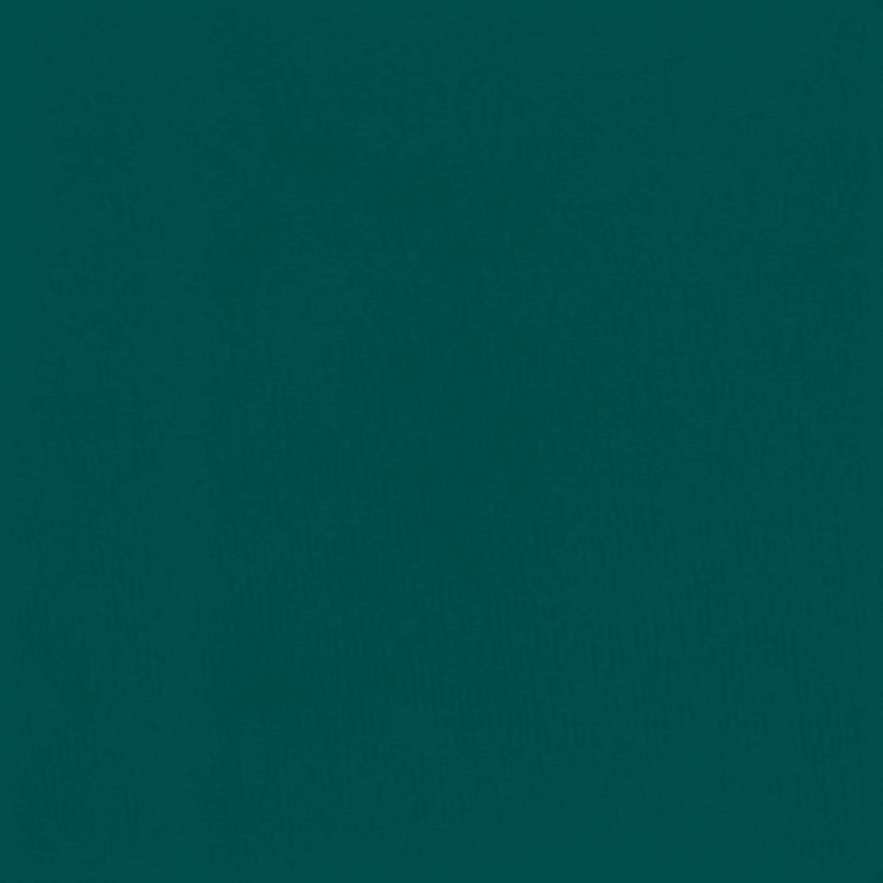 Silk House GZF001HCTM Fluxx Velvet 280cm Wide