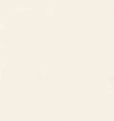 Turkish 100% Cotton Plain Sheet - Off White