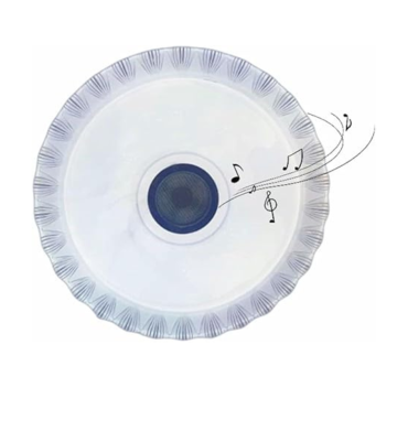 CE009 Ceiling Light