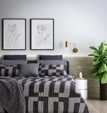 Pierre Cardin Comforter Nexus